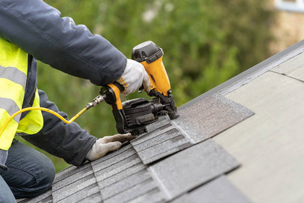 Best Roof Moss and Algae Removal  in Roaming Shores, OH
